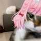 Hanny Toreiko Ch.